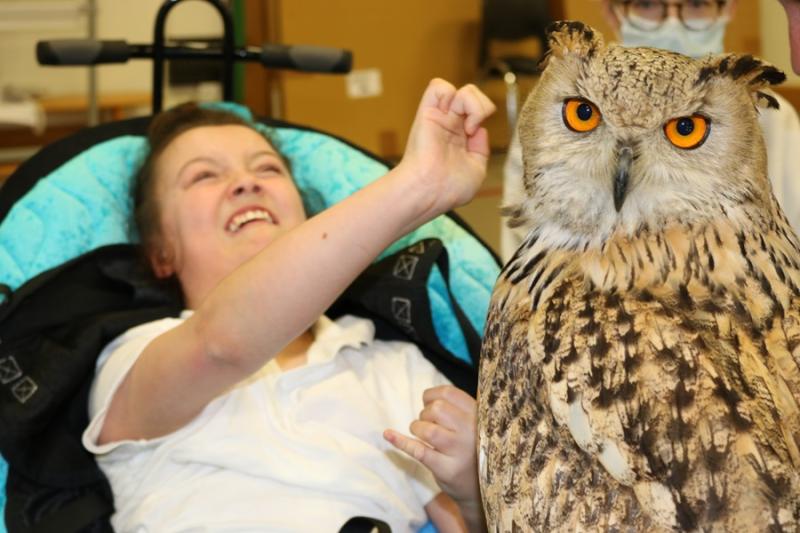 Science Week at Treloar's: a student touching a bird of prey (a big owl looking at the camera with its orange eyes).