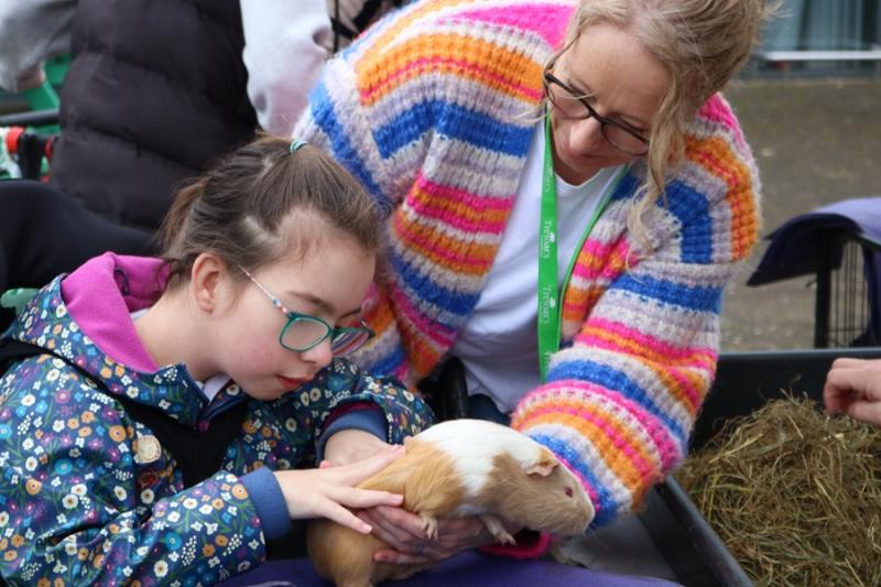 Treloar's student Elin is stroking a guinea pig which is being held by Elin's assistant.