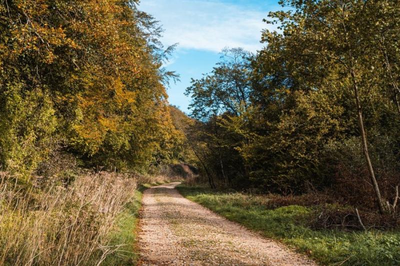 Queen Elizabeth Country Park