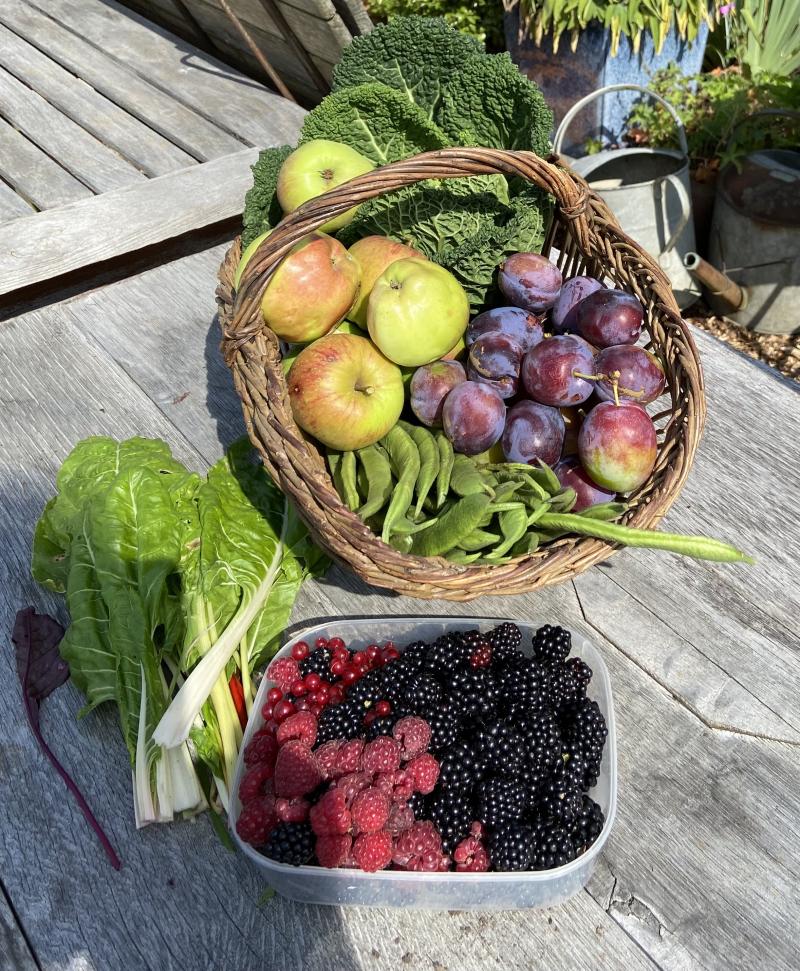 Selection of Fruit and Vegetables