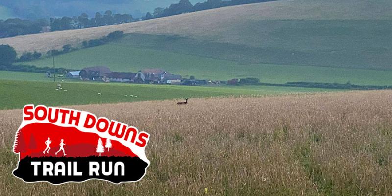 South Downs Trail Run