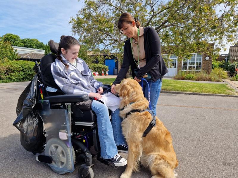 Stanley, a Canine Assisted Therapy Dog in training, is sitting on the ground in front Treloar College student waiting for a treat after responding to the command 'sit'. His trainer is standing next to him. The student is really pleased with the dog's reaction.