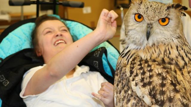 Science Week at Treloar's: a student touching a bird of prey (a big owl looking at the camera with its orange eyes).