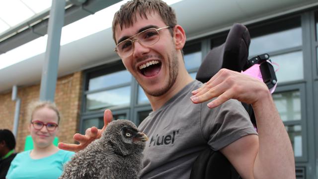 Treloar College student stroking a grey bird that is sitting on his lap; the student is very happy.