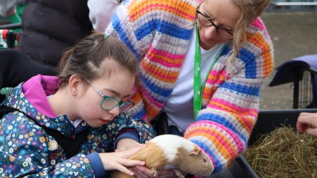 Treloar's student Elin is stroking a guinea pig which is being held by Elin's assistant.