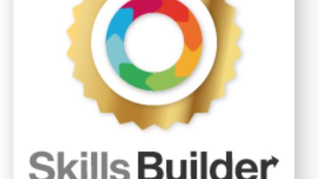 Skills Builder Gold Award