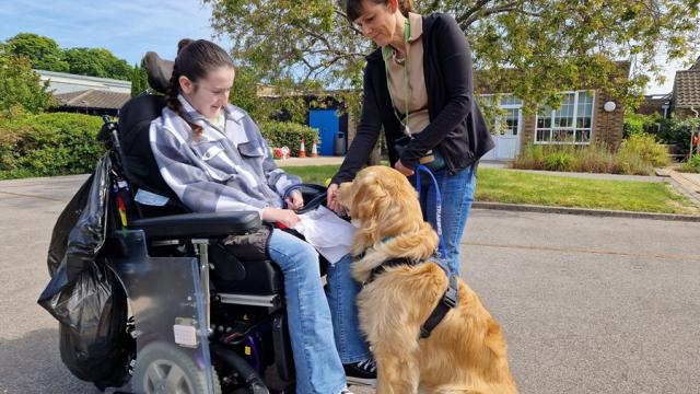 Stanley, a Canine Assisted Therapy Dog in training, is sitting on the ground in front Treloar College student waiting for a treat after responding to the command 'sit'. His trainer is standing next to him. The student is really pleased with the dog's reaction.