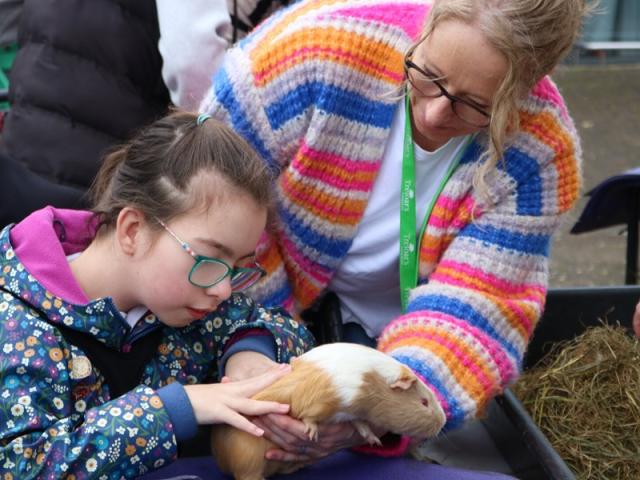 Treloar's student Elin is stroking a guinea pig which is being held by Elin's assistant.