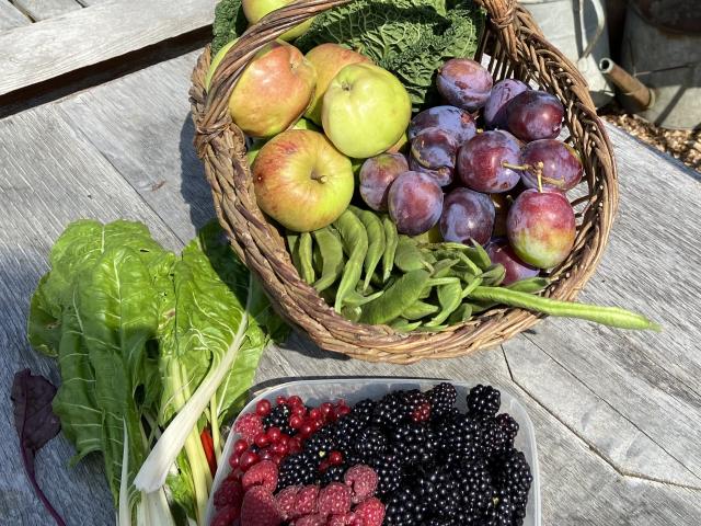 Selection of Fruit and Vegetables