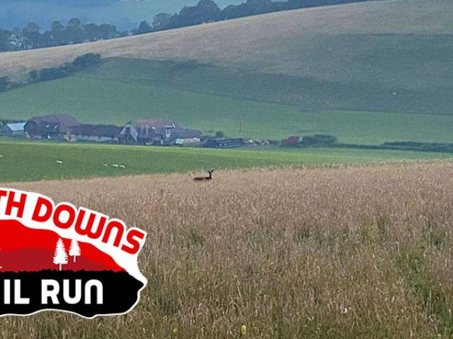 South Downs Trail Run