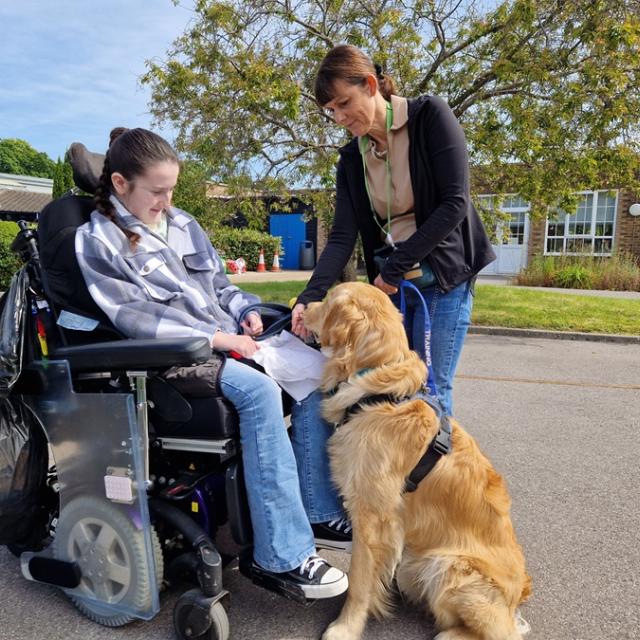 Stanley, a Canine Assisted Therapy Dog in training, is sitting on the ground in front Treloar College student waiting for a treat after responding to the command 'sit'. His trainer is standing next to him. The student is really pleased with the dog's reaction.